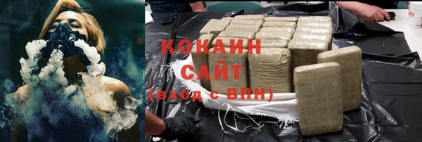 гашик Козельск