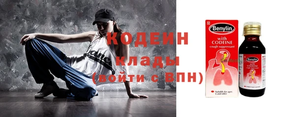 гашик Козельск