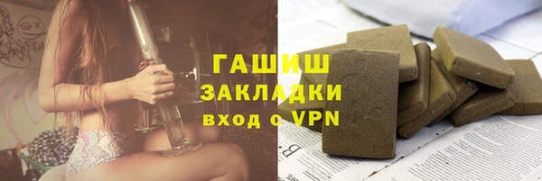 гашик Козельск