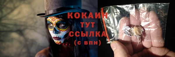 гашик Козельск