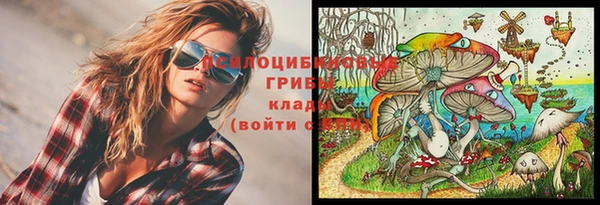 гашик Козельск