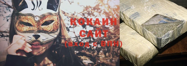 гашик Козельск