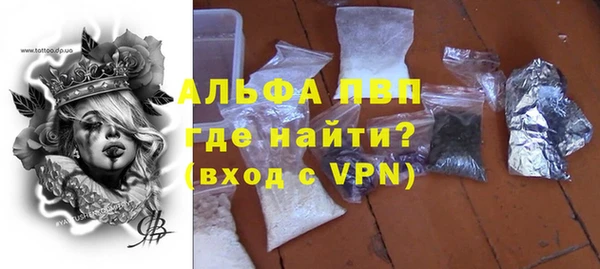 гашик Козельск