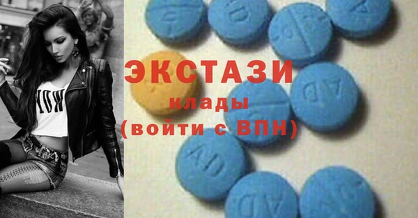 гашик Козельск