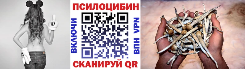 Псилоцибиновые грибы ЛСД  darknet Telegram  Сыктывкар 