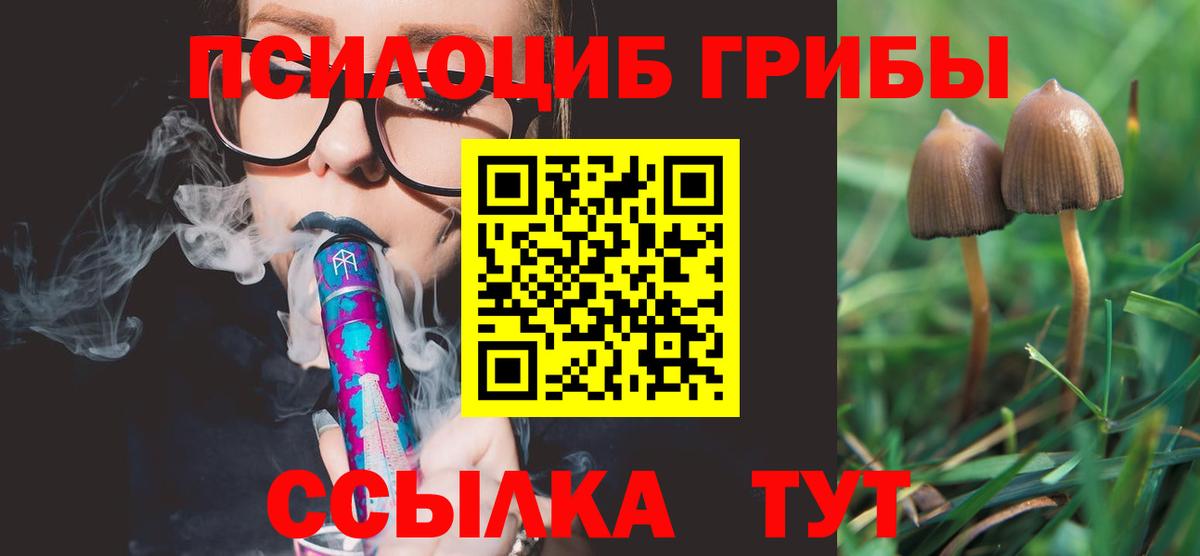 Псилоцибиновые грибы GOLDEN TEACHER  Галлюциногенные грибы Psilocybe  где можно купить наркотик  Сыктывкар  Вход с VPN 