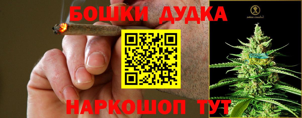 Бошки Шишки марихуана Сыктывкар